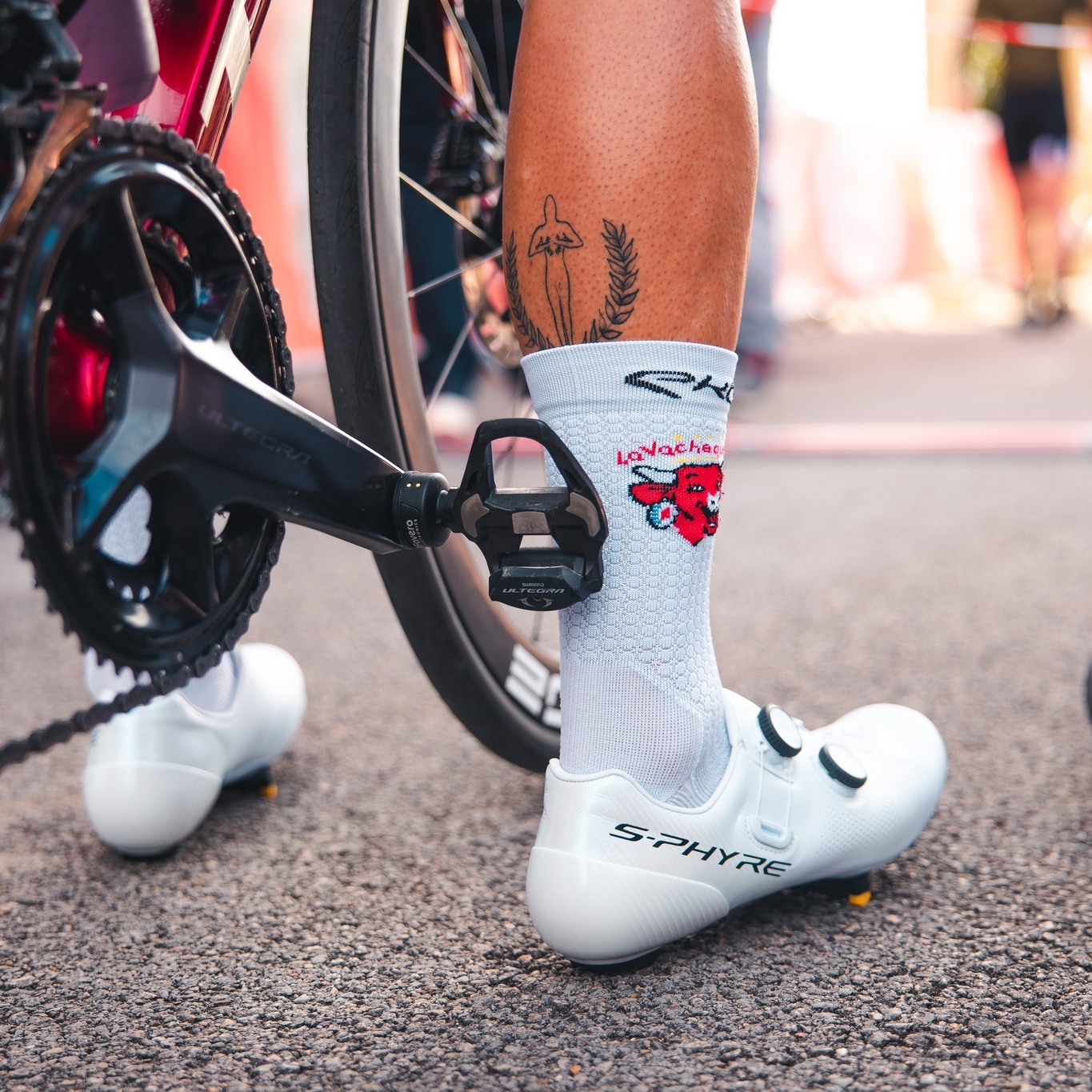 🐮 La perfection n'est pas un détail... 

Les chaussettes officielles sont disponibles sur notre boutique ou peuvent être réservées au moment de votre inscription 🧦

𝐈𝐧𝐟𝐨𝐫𝐦𝐚𝐭𝐢𝐨𝐧𝐬 & 𝐢𝐧𝐬𝐜𝐫𝐢𝐩𝐭𝐢𝐨𝐧𝐬 ⤵️
✍️ https://cyclosportive-lavachequirit.fr/

📸 @alanis_pic_ 

#CyclosportiveLaVachequiRit #VachequiRit #Jura #LonsLeSaunier #Gravel #Cyclosport #LaurentJalabert #Cycling #Jaja #granfondo